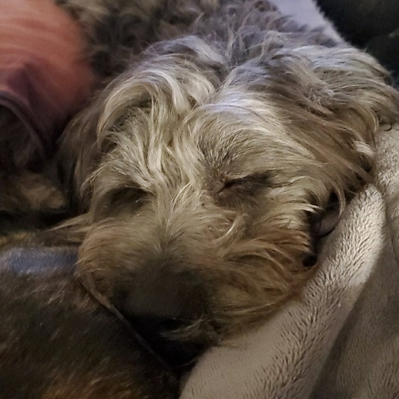 Meet your Posher, Christina - Picture 1 of 1